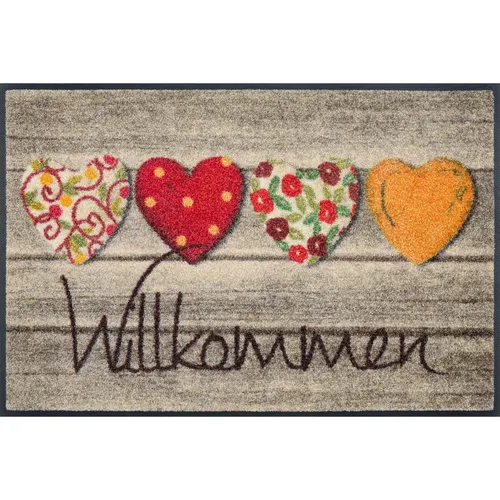 wash+dry Fußmatte Willkommensgruss 50x75cm - Hochwertige Fußmatte für innen und außen, waschbar bis 60°C, rutschfest und trittschalldämmend - ideal für Allergiker und Tierbesitzer.