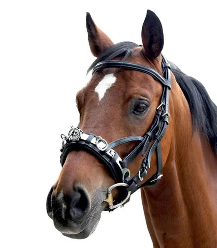 Waldhausen Schwarz VB Kappzaum mit Gebißverschnallung - Kappzaum aus hochwertigem Leder, ideal für Komfort und Anpassungsfähigkeit. Mit und ohne Gebiss verwendbar, perfekt für empfindliche Nasenrücken. Lieferung ohne Gebiss, Größe VB, Farbe schwarz.