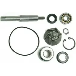 Überholsatz Wasserpumpe SH 125-150 (2009-2012)