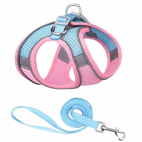 Monkimau Atmungsaktives Hundegeschirr mit Leine | Mesh und Nylon | Ideal für kleine Hunde und Katzen | Größe XXS bis L (Pink-Blau, S)