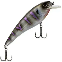 Westin Angeln & Fischen von Westin