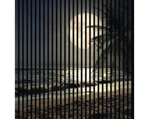 Akustikpaneel digital bedruckt Mond 2