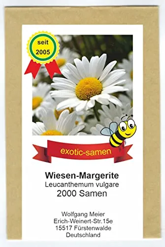 Magerwiesen-Margerite - Bienenweide - Schmetterlingsmagnet - Leucanthemum vulgare - 2000 Samen
