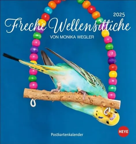 Freche Wellensittiche Postkartenkalender 2025: von Monika Wegler. Die bunten Vögel in einem kleinen Kalender zum Aufstellen und Aufhängen. ... (Postkartenkalender Heye)