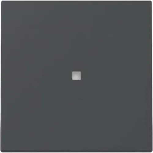 Gira Wippe Kontrollf.System 55 329028 Anthrazit (329028)