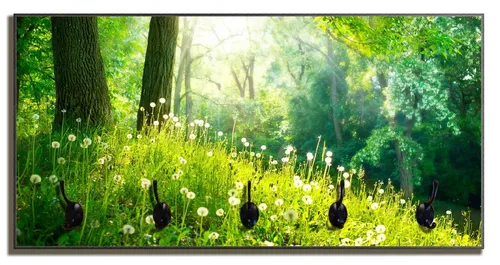 Wallario Garderobenpaneel Pusteblumen im Wald mit einfallenden Sonnenstrahlen (1-teilig, inkl. Haken und Befestigung), 80x40cmHolz