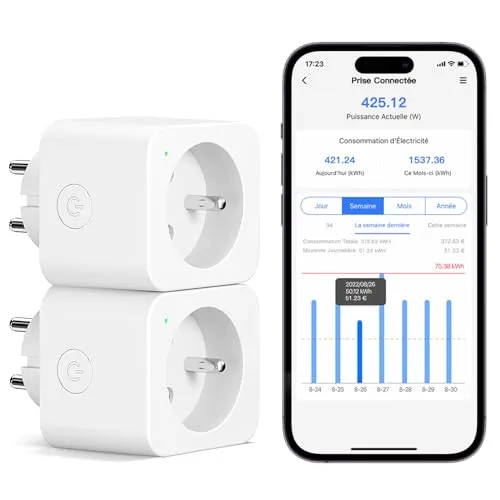 Meross Intelligente Steckdose (FR), 16 A, WLAN-Steckdose, kompatibel mit Alexa und Google Home, 2 Stück, intelligente Verbrauchsmessung mit Sprachsteuerung, Fernbedienung und Bluetooth-Konfiguration
