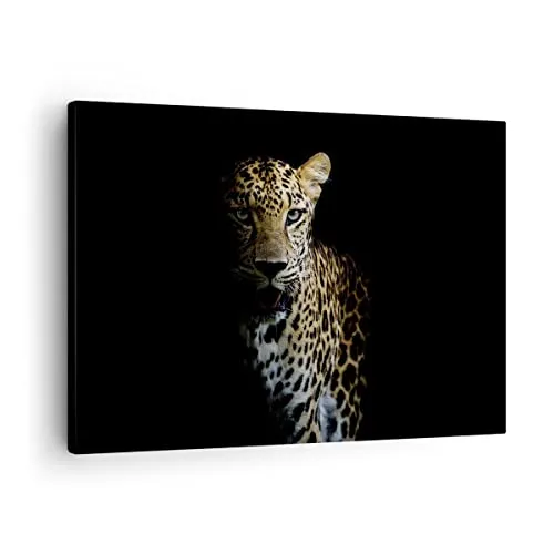 Bilder auf Leinwand Schattig Leopard Panther Leinwandbild 70x50cm Wandbilder Dekoration Wohnzimmer Schlafzimmer Küche Deko Klein Wanddeko Bild Wand Kunstdruck Art Wall Decor Canvas AA70x50-4585