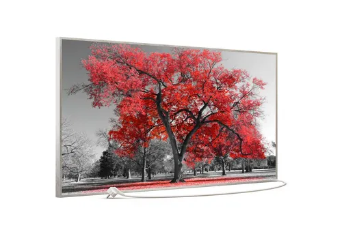 STEINFELD Heizsysteme Infrarotheizung, Bild, 750W 120x60cm, Inklusive Thermostat, viele Motive