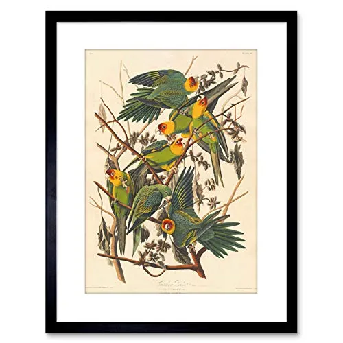 Poster & Bildende Kunst Schwarz von Wee Blue Coo