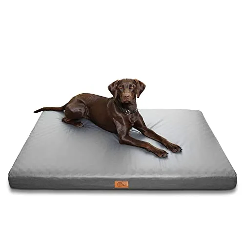 Hundebetten Grau von your GEAR