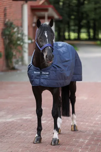 Bucas Unterdecke Liner 300g Navy 145