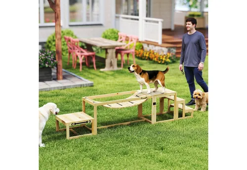 PawHut Hunde Agility Set Tannenholz von PawHut