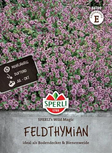 Sperli Feldthymiansamen