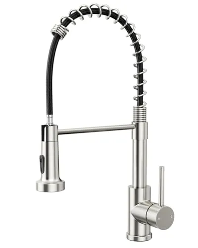 Rainsworth Wasserhahn Küche Edelstahl Herausziehbare