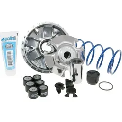 Variomatik Polini Maxi Hi-Speed für Kymco Agility 125 von Polini kids