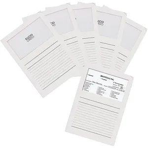ELCO Sichthüllen Ordo classico DIN A4 weiß glatt 120 g/qm - Sichthüllen für DIN A4 Unterlagen, 120 g/qm, mit dokumentenechter Ausführung und glatter Oberfläche – ideal für sichere und übersichtliche Aufbewahrung.