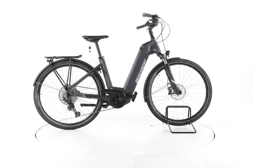 Bergamont E-Horizon Expert Trekking E-Bike Top Elektrofahrrad Bosch Akku 625Wh