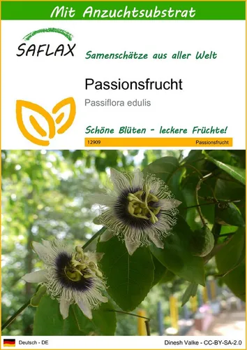 SAFLAX Blumensamen SAFLAX - Samen und Substrat - Passionsfrucht