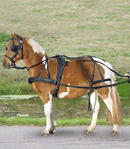 Einspänner Synthetikgeschirr für Pony und Shetty