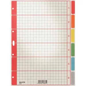 Leitz 4350-00-85 Karton Register, A4, blanko, 6-teilig, grau mit farbigen Taben