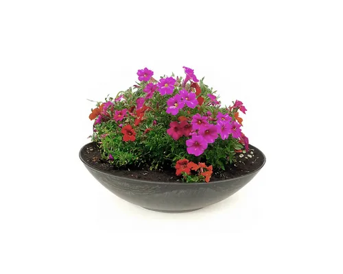 matches21 HOME & HOBBY Blumentopf Pflanzschale für draussen Dekoschale rund schwarz marmoriert 25 cm (1 St), Blumen-Schale als wetterfeste Friedhof-Schale Grab-Schmuck Grabschale