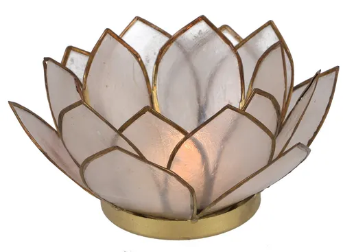 GURU SHOP Lotus Teelicht Muschel 14x6 cm - Weiß