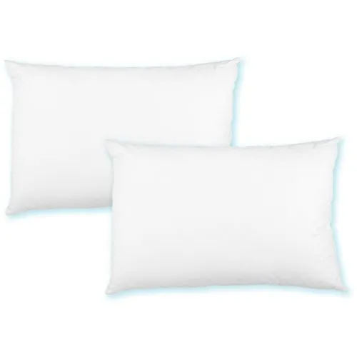 Bestlivings Kissenfüllung 40x60 Füllkissen Dekokissen Polyester Premium, 2er Pack