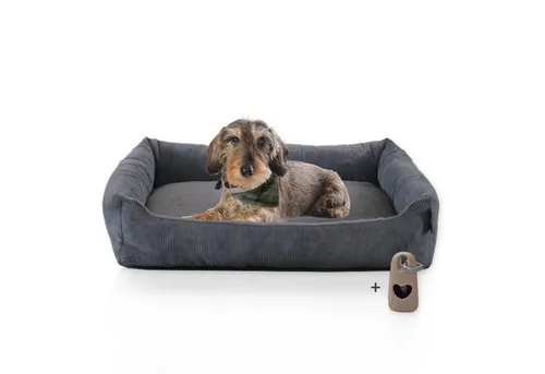Rohrschneider Hundebett Cordstoff für kleine und mittelgroße Hunde - Tierbett aus strapazierfähigem Cordstoff, waschbar und mit Antirutschunterseite. Ideal für gemütliche Ruheplätze mit abnehmbarem Bezug und Wendekissen.