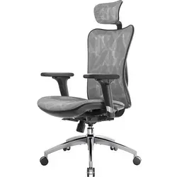 Ergonomischer Bürostuhl mit 3D Armlehne und Lendenwirbelstütze bis 150kg in Grau