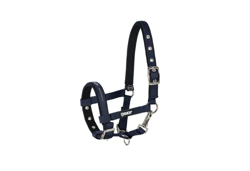 Eskadron Basic Fohlen Halfter in blau von Eskadron