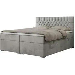 Boxspringbett 120x200 PERA mit Matratze und Topper in silber von Möbel Kraft