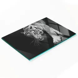 Multifunktionale Küchen-Dekorationsplatte aus gehärtetem Glas mit Tigermotiv, 80 x 52 cm
