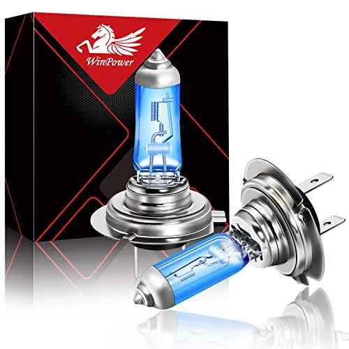 WinPower-24V H7 PX26d Halogenlampen