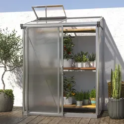GFP Adena Anlehngewächshaus 151 x 77 cm - Garten-Zubehör: Nutzen Sie das platzsparende Anlehngewächshaus Adena aus korrosionsbeständigem Aluminium, ideal für Balkon oder Terrasse und profitieren Sie von optimaler Wärme und Licht für Ihre Pflanzen.