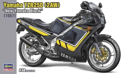 Hasegawa 21743