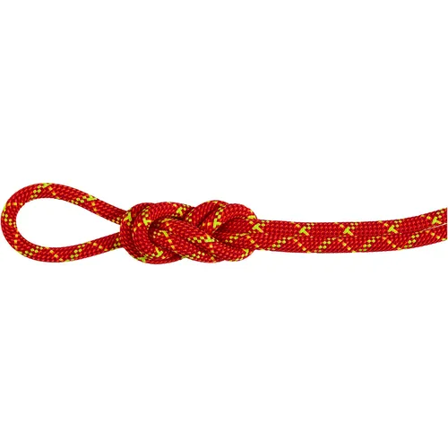 Mammut 8.0 Alpine Core Protect Dry Rope