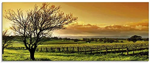 ARTland Wanddeko Glasbilder Wandbild Glas Bild einteilig 125x50 cm Querformat Natur Landschaft Weinberge Felder Baum Sonnenuntergang S6QW