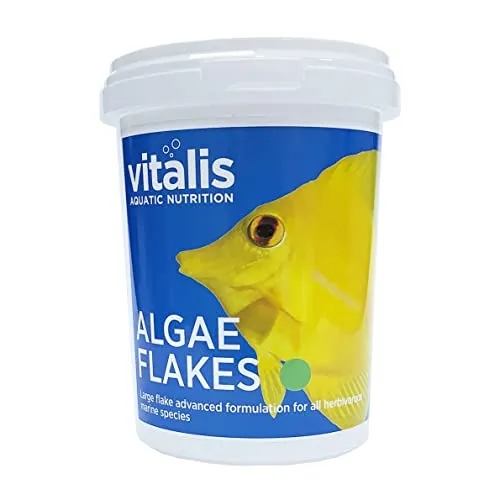 Vitalis Algae Flakes Fischfutter Aquarium Fischfutter Aquarium Flakes für pflanzenfressende Meerestiere - Hochverdaulich und Ausgewogen - Vitamine und Mineralien (40g)
