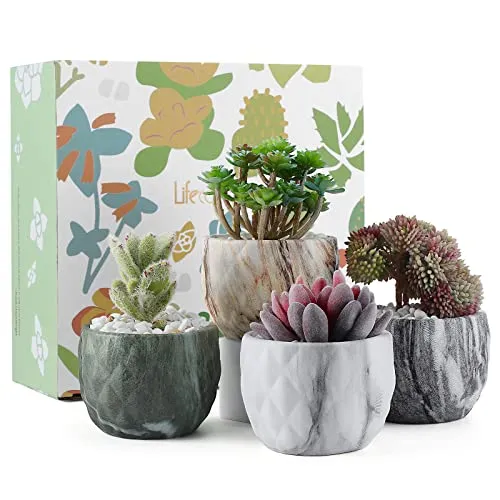 Coolty 4 Stück Mini Keramik Sukkulententen Töpfe, Marmorier Blumentopf, Sukkulenten Kakteen, Bonsai Übertopf Behälter für Zuhause, Büro, Dekoration, Geschenk