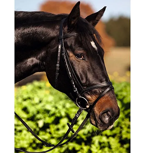 Kerbl 32172 Trensen-Zaum Standard Leder für Warmblut - Schwarz, hochwertiges Leder für optimalen Tragekomfort und einfache Handhabung