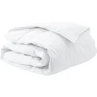 vidaXL Winterdaunendecke 200 x 200 cm - Bettdecken mit 100% Baumwollbezug, gefüllt mit 30% Entendaune für optimale Isolierung und Komfort. Ideal für kalte Nächte, atmungsaktiv und maschinenwaschbar für einfache Pflege.