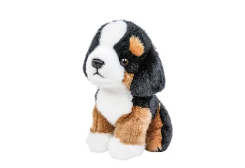 Teddys Rothenburg Kuscheltier Berner Sennenhund klein sitzend 18 cm Plüschtier Stoffhund