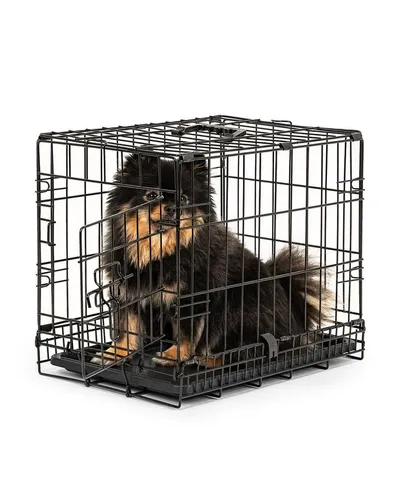 lionto Tiertransportbox für Hunde und Katzen, faltbar und robust - Tier-Transportbox, ideal für Reisen und Zuhause, mit herausziehbarer Bodenwanne für einfache Reinigung und Trennwand für zwei Tiere.