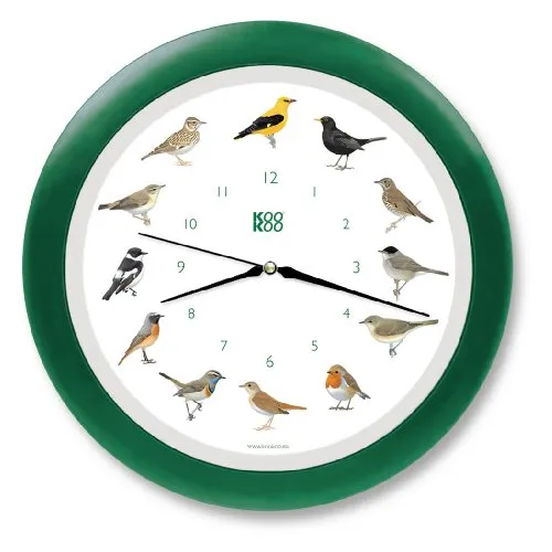 KOOKOO Singvögel Quarzwerk Grün - Die Singende Vogeluhr - Wanduhr mit 12 heimischen Vogelstimmen, ideal für Naturfreunde und Kinder. Charmantes Design mit farbigem Zifferblatt und integriertem Lichtsensor für Ruhe bei Dunkelheit. Durchmesser 34 cm.
