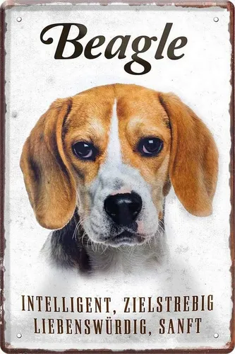WOGEKA ART Metallbild Hunde-Rassen Steckbrief 20 x 30 cm Blechschild Haustier Hund Deko, Beagle