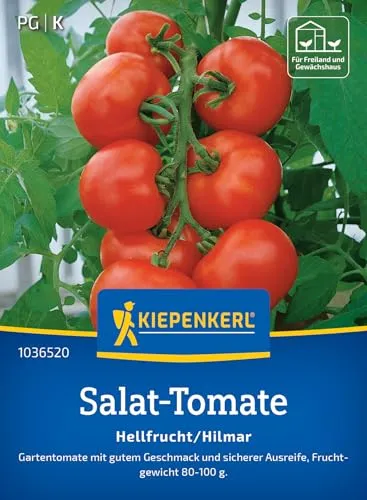 Kiepenkerl Salat-Tomatensamen Hellfrucht/Hilmar 1036520 – ertragreiche Sorte - fest & saftig - aromatisch - Saatgut, Samen Gemüse, Gemüsepflanzen