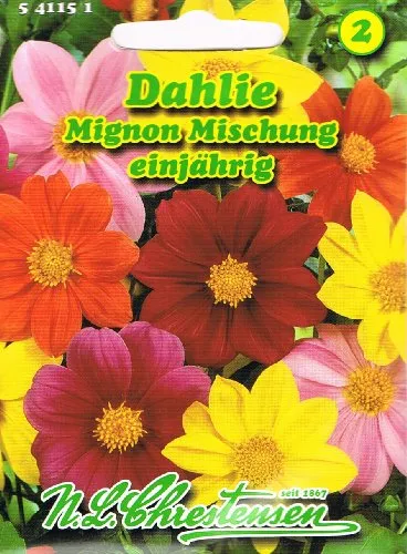 Dahlie Mignon-Mischung , einjährig, beliebte Sommerblume 'Dahlia variabilis'