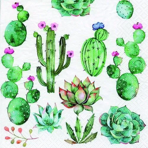 Servietten Cactus & Succulents Kakteen Sukkulenten grün Natur Sommer 33x33cm 20