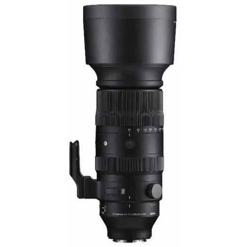 Sigma 60-600mm f/4.5-6.3 DG DN OS Sports L-Mount - Kameraobjektiv mit 10-fach Ultra-Telezoom, ideal für Sport- und Naturfotografie, hohe Abbildungsqualität und schneller, präziser Autofokus.
